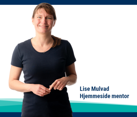 Lise Mulvad, hjemmeside mentor