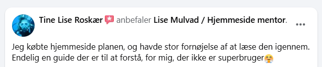 Anbefaling fra Tine til Lise Mulvad - Hjemmeside mentor